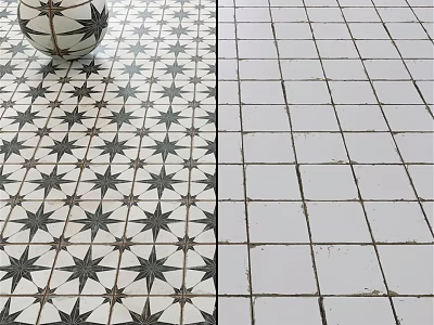 Black And White Star Pattern Tile Floor With Plain White Tile Design 3d model