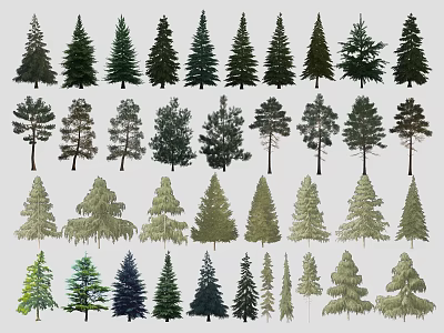 Modern Tree Arbor Mountain Park Plant Landscape Tree Pine Metasequoia Western Araucaria Dragon Cypress Tower Conifer 3d model