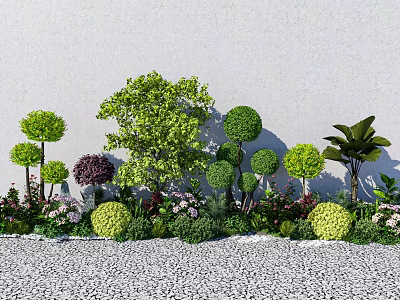 Colorful Garden Plants With Rounded Green Shrubs And Flowers Against White Wall And Pebble Ground 3d model