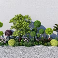 Colorful Garden Plants With Rounded Green Shrubs And Flowers Against White Wall And Pebble Ground