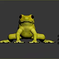 Yellow Frog With Black Eyes And Spots On Dark Reflective Surface