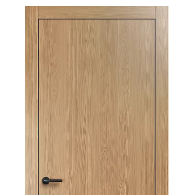 Contemporary Wooden Hinged Door With Light Wood Tone And Smooth Natural Texture For Interior Spaces 3d model
