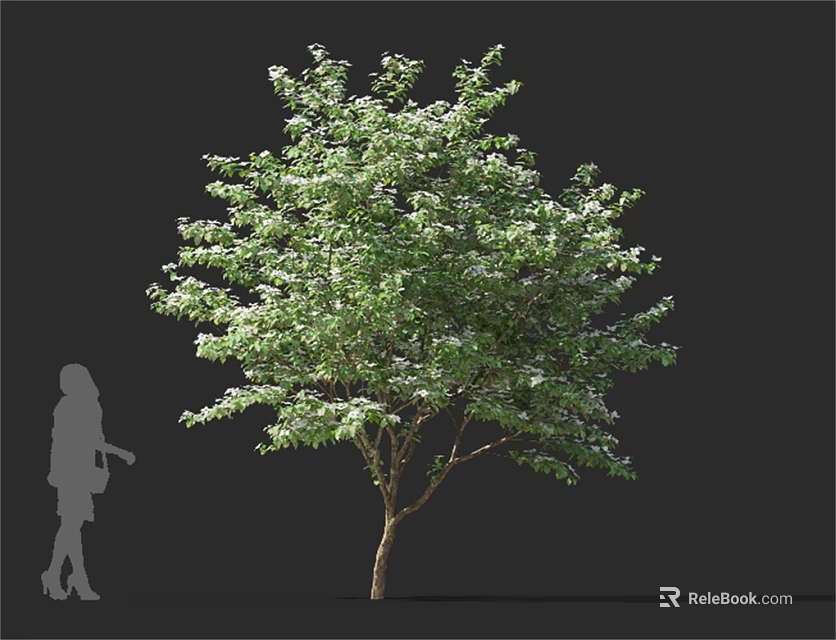 Lush Green Arbor With Full Canopy And Human Silhouette On Dark Background 3d model