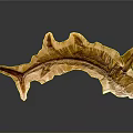 Golden Fish Organ Model with Hair Like Texture and Detailed Structure