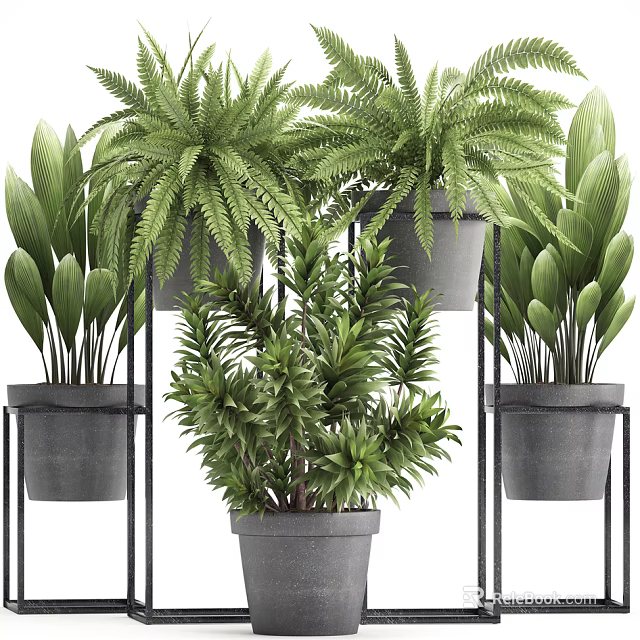 Indoor Potted Greenery With Various Plants On Metal Stands And Gray Pots 3d model 