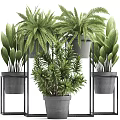 Indoor Potted Greenery With Various Plants On Metal Stands And Gray Pots