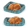 Cozy Turquoise Plaid Pet Bed as Home Decor Accessory Set with Sleeping Ginger Cat