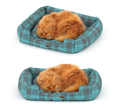 Cozy Turquoise Plaid Pet Bed as Home Decor Accessory Set with Sleeping Ginger Cat 3d model