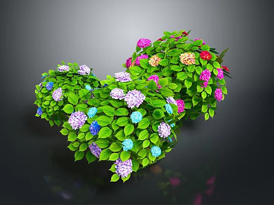Heart shaped green plant with vibrant colorful flowers purple pink blue yellow and green leaves 3d model