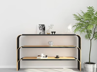 Modern Minimalist Storage Shelf With Black And Wooden Design Decorative Items And Potted Plant 3d model
