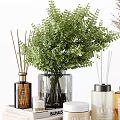 Elegant Decorative Ornament Set With Candles Dried Flowers Green Plants And Glass Vases