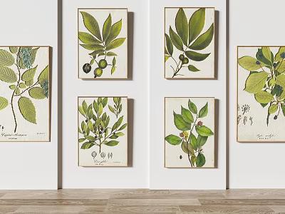 Framed Botanical Prints With Leaves And Fruits For Wall Art Decor 3d model