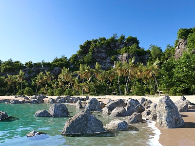 Modern Beach Seaside Coconut Tree Beach 3d model