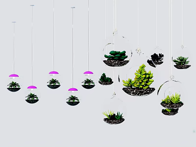 Multiple Decorative Hanging Planters with Green Succulents and Glass Globes for Indoor Decoration 3d model