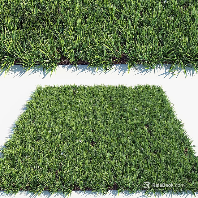 Vibrant Green Natural Grass Turf With Strip And Square Design For Garden 3d model 