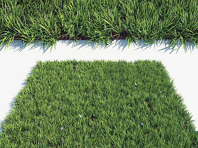 Vibrant Green Natural Grass Turf With Strip And Square Design For Garden 3d model