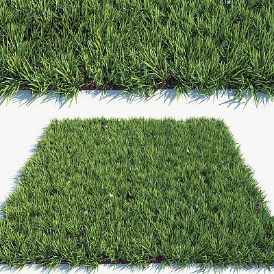 Modern grass lawn turf 3d model Modern grass lawn turf 3d model