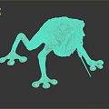 Frog Poison Frog Game Frog Reptile Cold Blooded Animal Reptile 3d model