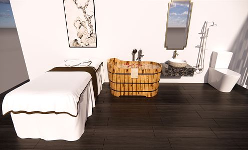 Modern Massage Bed Beauty Massage Room Furniture Supplies Bucket Bathtub Washbasin 3d model