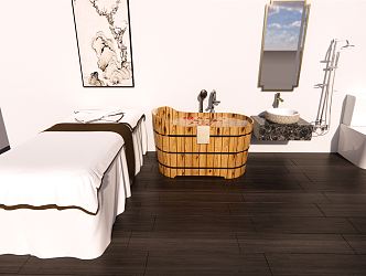 Modern Massage Bed Beauty Massage Room Furniture Supplies Bucket Bathtub Washbasin 3d model