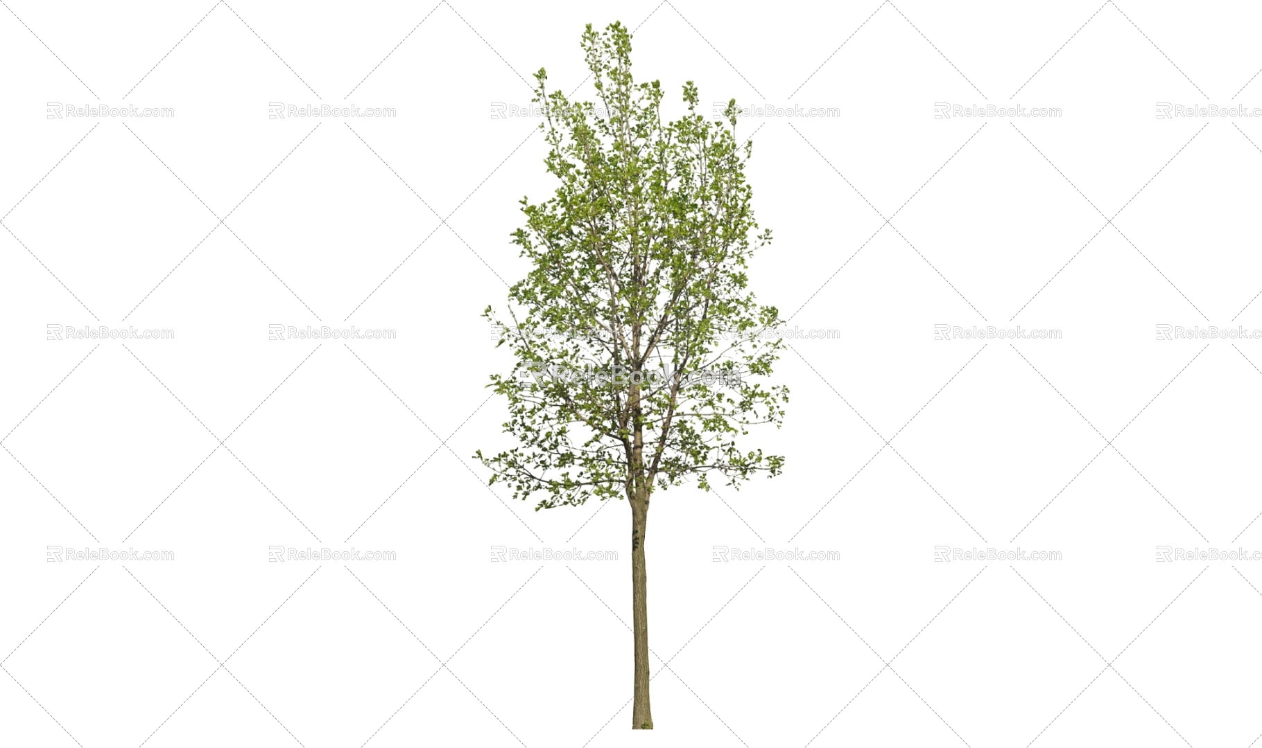 Tree 3d model