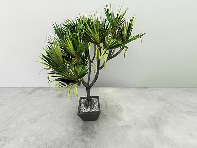 green plant model