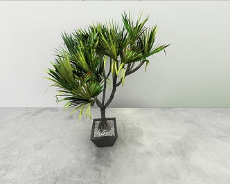 green plant 3d model