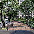 Residential Landscape Design With Shade Trees Paved Area Outdoor Seating And Greenery