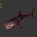 Realistic Shark 3D Model With Open Mouth Sharp Teeth Blue Gray Patterns On Dark Background 3d model