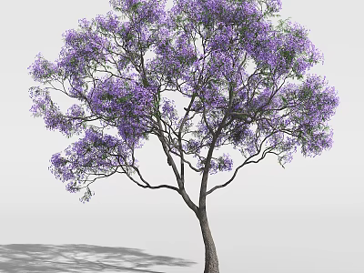 Ornamental Tree With Lush Purple Flowers And Graceful Spreading Branches For Garden Landscape Decoration 3d model