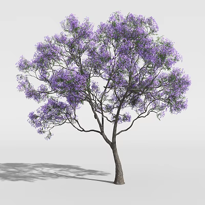 Ornamental Tree With Lush Purple Flowers And Graceful Spreading Branches For Garden Landscape Decoration 3d model