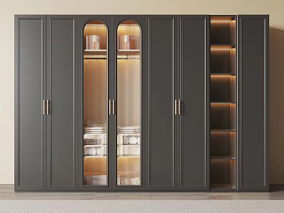 Modern Dark Gray Wardrobe With Glass Doors LED Lighting And Open Compartments 3d model