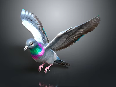 Pigeon Spreading Wings With Iridescent Blue Purple Green Feathers And Gray Wings On Dark Background 3d model
