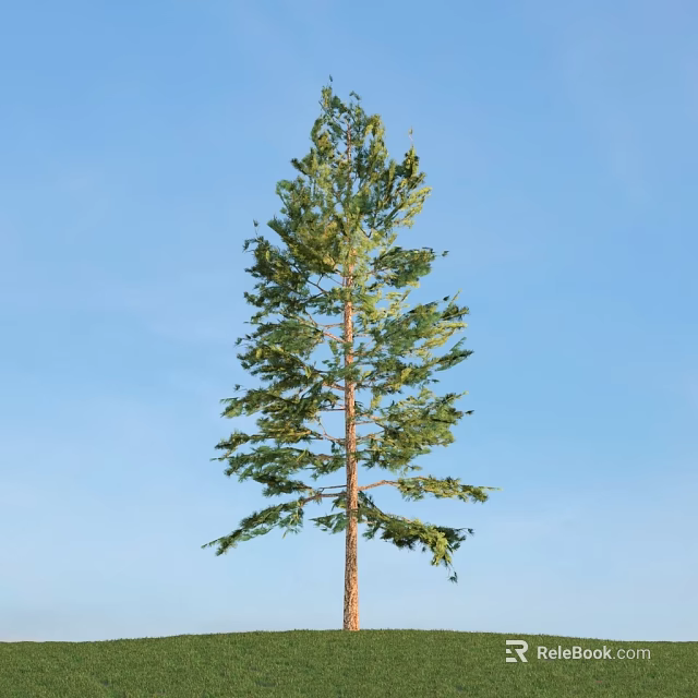 Tall Arbor With Lush Green Leaves Standing Against Clear Blue Sky 3d model 
