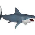 shark fish marine animal marine life great white shark whale shark hammerhead shark dolphin red tail shark tiger shark whale 3d model