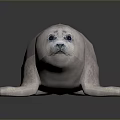 Cute Pink Seal Isolated On Black Background With Reflection