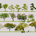 Diverse Arbor Varieties Showcasing Different Shapes And Vibrant Foliage 3d model