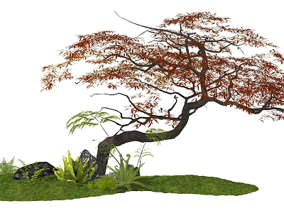 Graceful Arbor Tree with Red Brown Leaves Curved Branches Green Grass Rocks and Small Plants 3d model