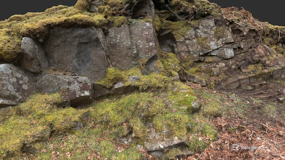 Natural Micro Terrain With Moss Covered Rocks Green Grass And Fallen Leaves 3d model 