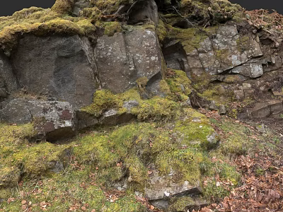 Natural Micro Terrain With Moss Covered Rocks Green Grass And Fallen Leaves 3d model
