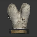 Gray White Porous Sculpture On Black Base With Wooden Edge Detail