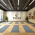 Spacious Yoga Studio With Red Exercise Mats Hanging Hammocks And Wooden Floors