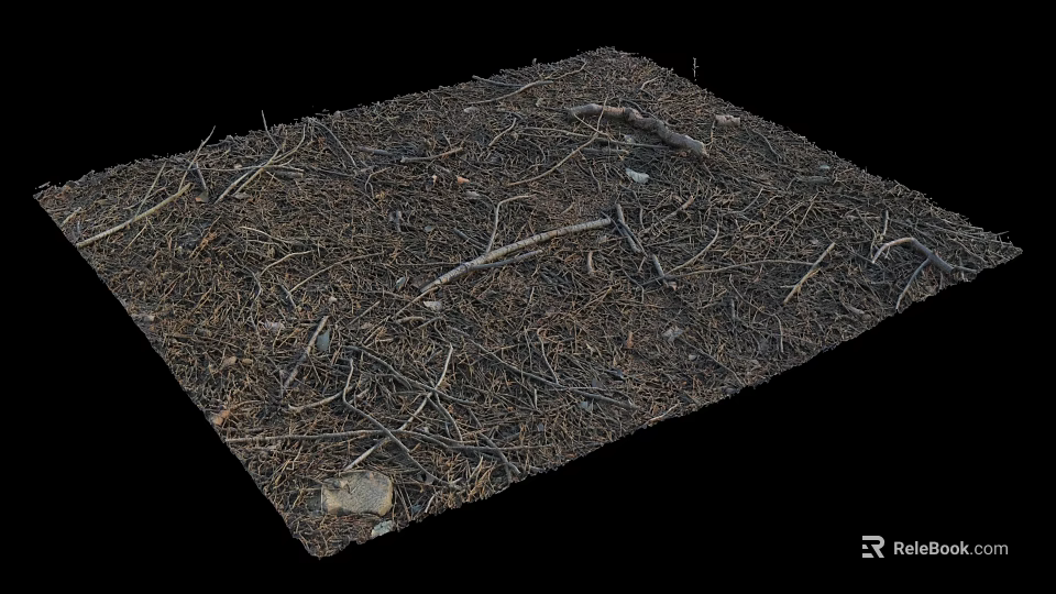 Dry Plant Debris With Twigs Pine Needles And Small Stones On Black Background 3d model 