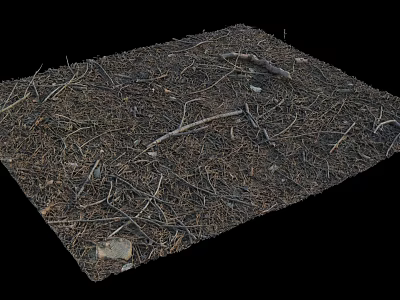 Dry Plant Debris With Twigs Pine Needles And Small Stones On Black Background 3d model