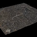Dry Plant Debris With Twigs Pine Needles And Small Stones On Black Background