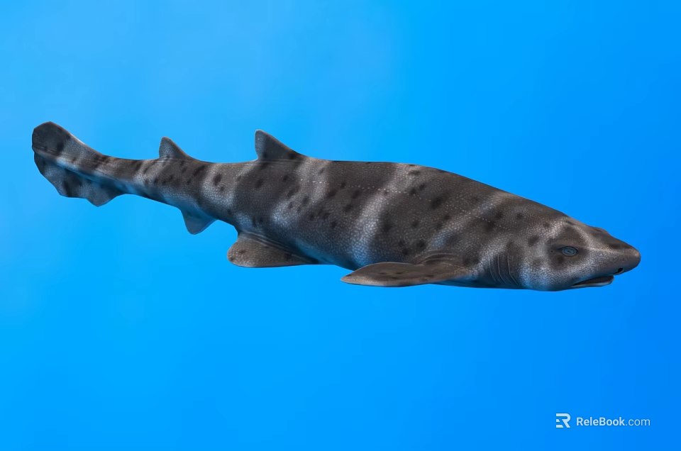 Shark Swimming in Blue Water Background with Distinctive Spotted Skin Patterns 3d model 