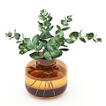 Amber Glass Vase With Fresh Green Eucalyptus Leaves And Long Stems