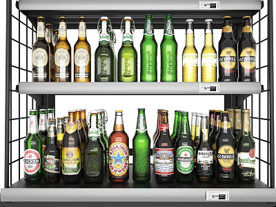 Retail Display Shelf with Various Beer Bottles of Different Brands on Two Layers 3d model
