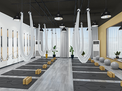 Modern Yoga Room 3d model