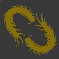 Detailed View Of Two Reptile Centipedes With Brown Bodies Yellow Legs And Curved Shape